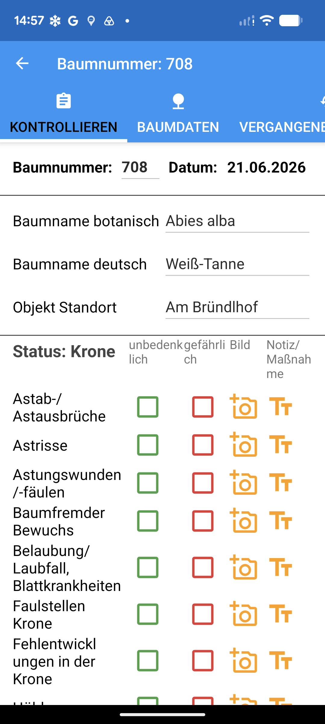 Baumkontrolle App nach FLL